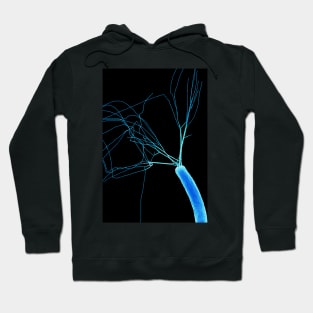 E.coli bacterium, SEM (C026/0505) Hoodie